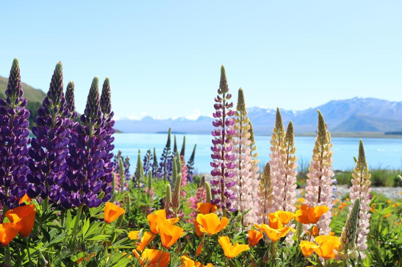 Mt Sefton Villa Lake Tekapo Exterior foto